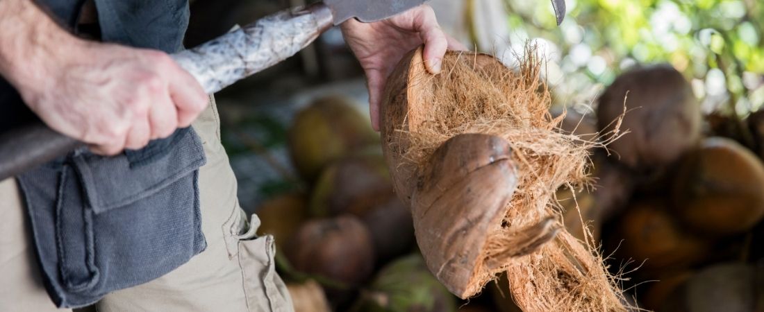 Le Vietnam gourmand - 14 jours