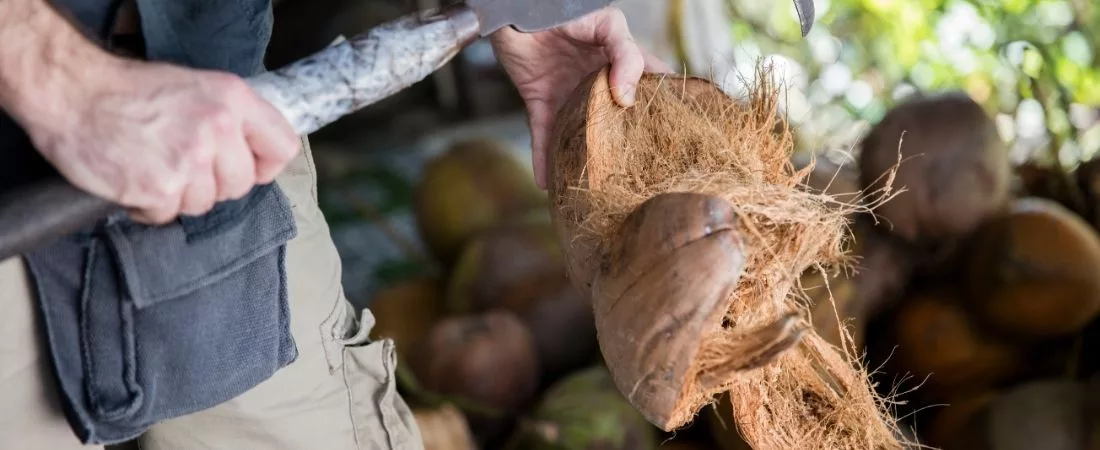 Le Vietnam gourmand - 14 jours